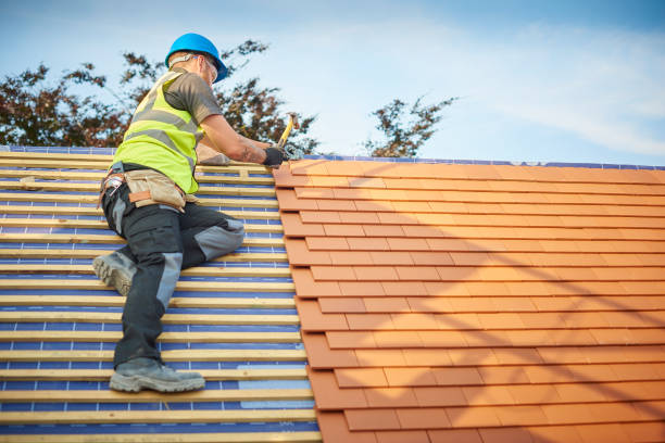 Best Roof Maintenance and Cleaning  in Biscayne Park, FL